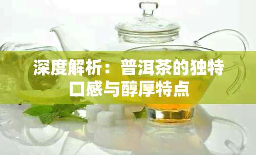 深度解析：普洱茶的独特口感与醇厚特点