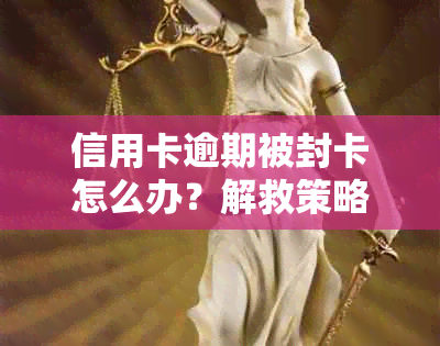 信用卡逾期被封卡怎么办？解救策略与预防措一网打尽