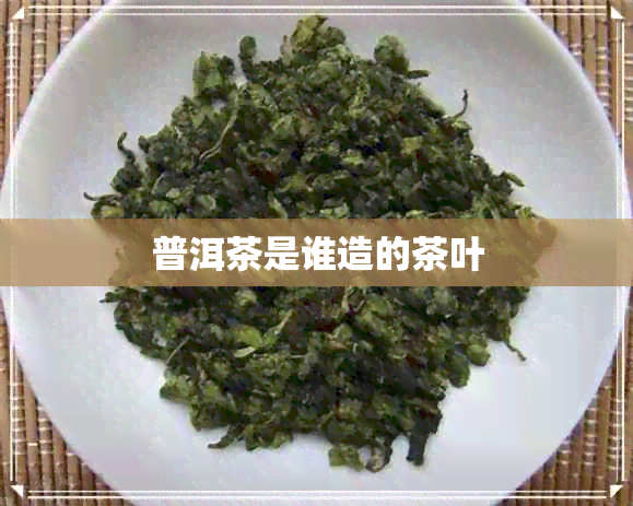 普洱茶是谁造的茶叶