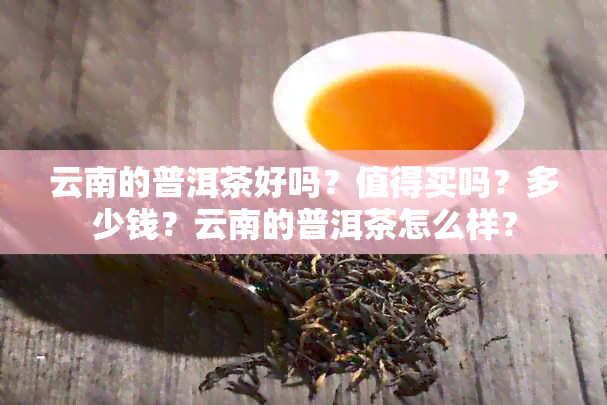 云南的普洱茶好吗？值得买吗？多少钱？云南的普洱茶怎么样？