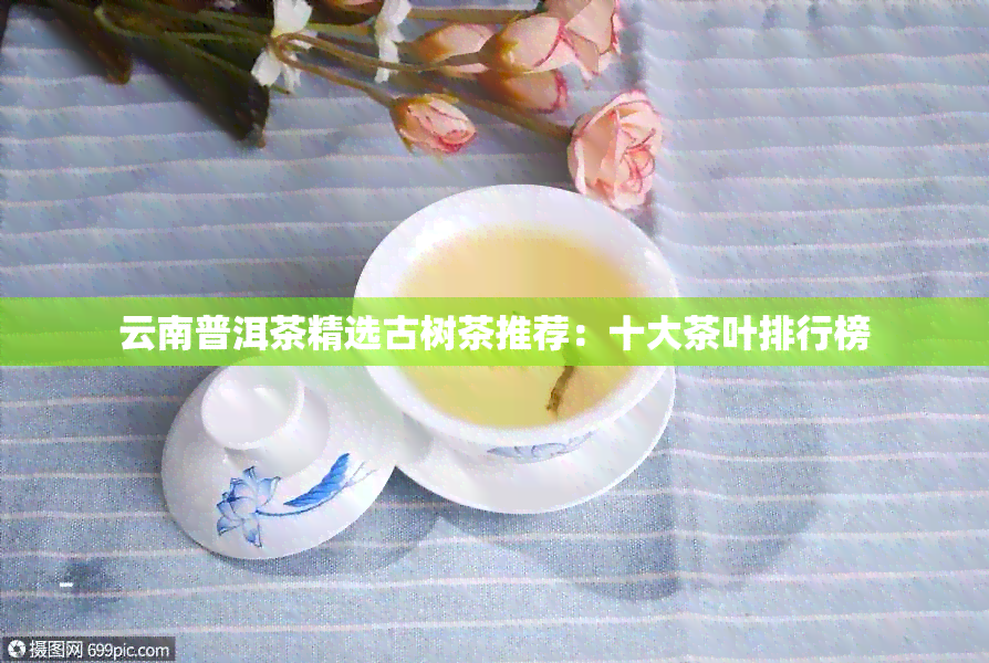 云南普洱茶精选古树茶推荐：十大茶叶排行榜