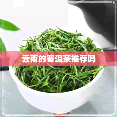 云南的普洱茶推荐吗