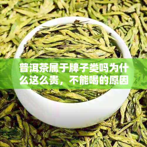 普洱茶属于牌子类吗为什么这么贵，不能喝的原因是什么？普洱茶有哪些系列？