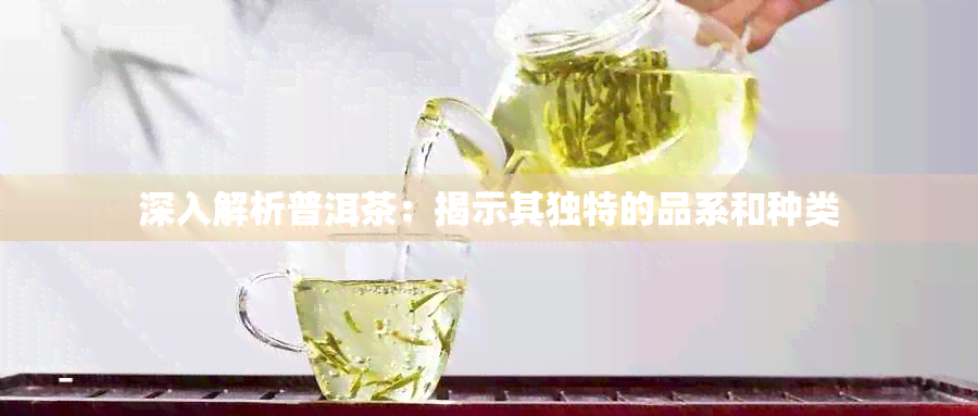 深入解析普洱茶：揭示其独特的品系和种类