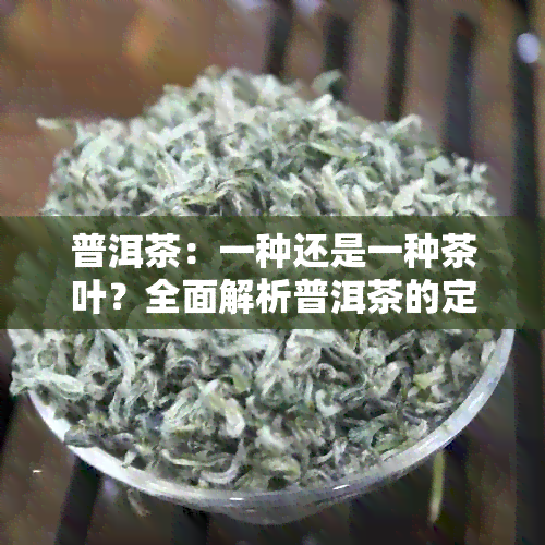 普洱茶：一种还是一种茶叶？全面解析普洱茶的定义、种类和市场特点