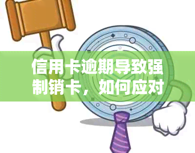 信用卡逾期导致强制销卡，如何应对并恢复信用？银行专家为你解答