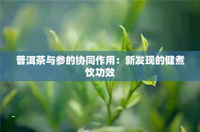 普洱茶与参的协同作用：新发现的健煮饮功效