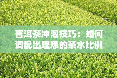 普洱茶冲泡技巧：如何调配出理想的茶水比例