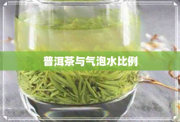 普洱茶与气泡水比例