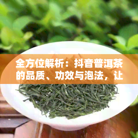 全方位解析：抖音普洱茶的品质、功效与泡法，让你轻松成为茶叶专家