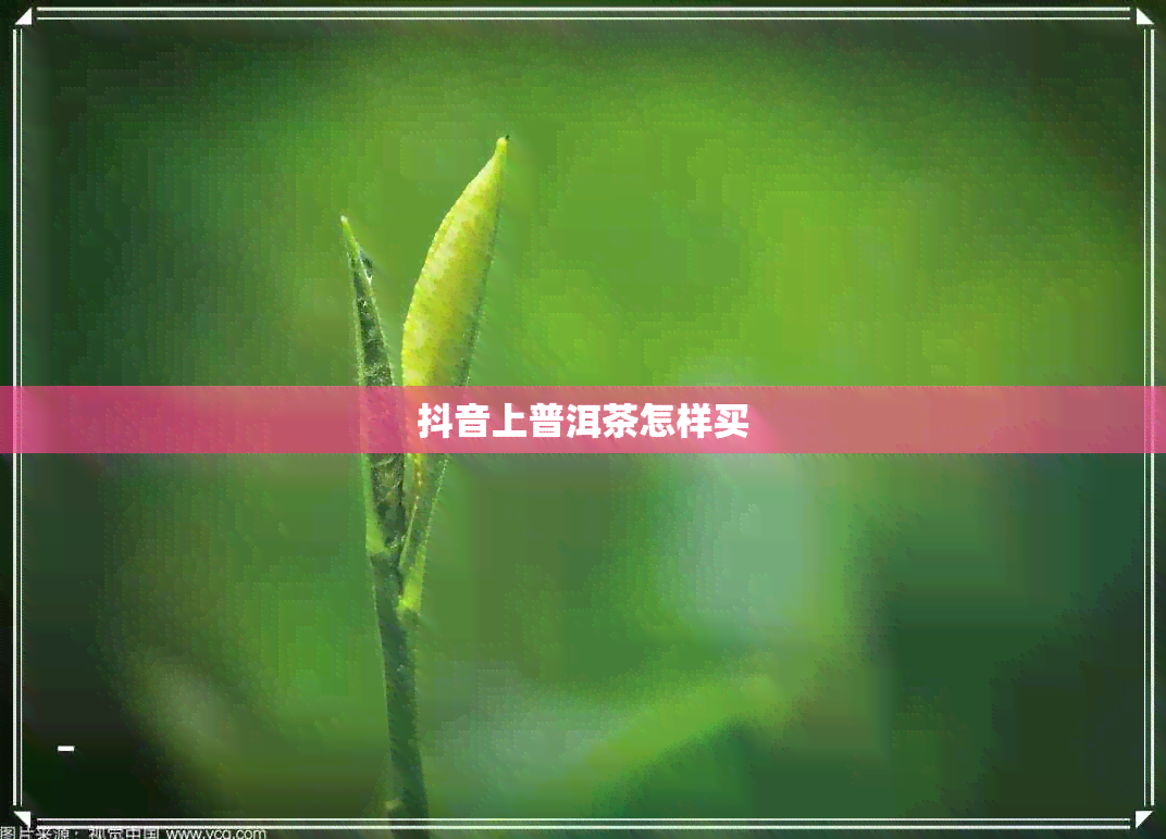 抖音上普洱茶怎样买