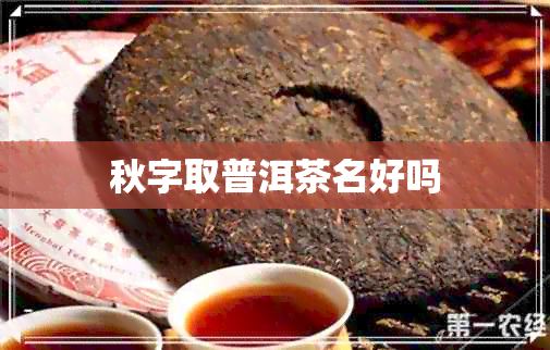 秋字取普洱茶名好吗