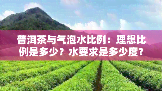 普洱茶与气泡水比例：理想比例是多少？水要求是多少度？