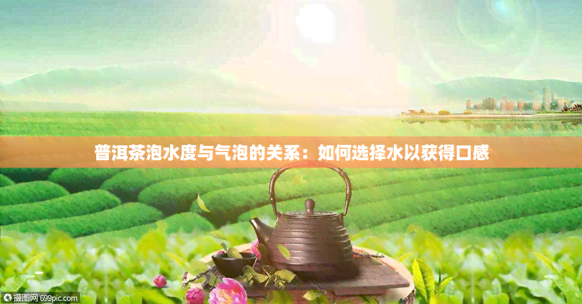 普洱茶泡水度与气泡的关系：如何选择水以获得口感