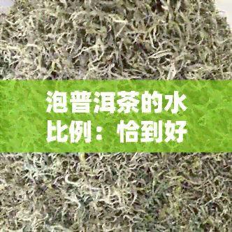 泡普洱茶的水比例：恰到好处的调配技巧与心得