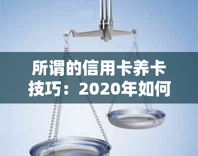 所谓的信用卡养卡技巧：2020年如何通过信用卡养卡赚钱？能赚多少钱？