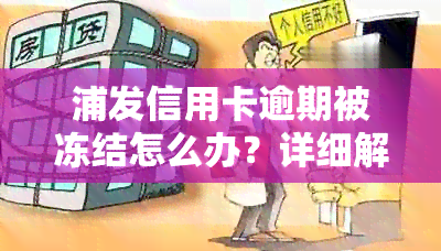 浦发信用卡逾期被冻结怎么办？详细解冻步骤及影响分析