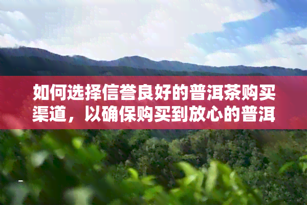 如何选择信誉良好的普洱茶购买渠道，以确保购买到放心的普洱茶？