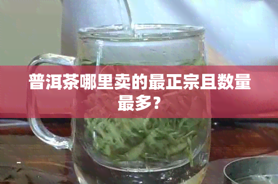 普洱茶哪里卖的最正宗且数量最多？