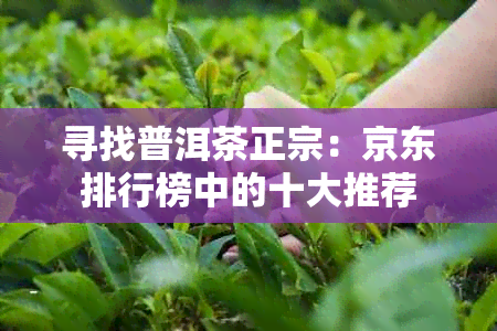 寻找普洱茶正宗：京东排行榜中的十大推荐