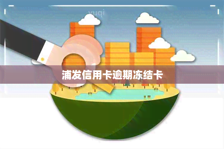 浦发信用卡逾期冻结卡