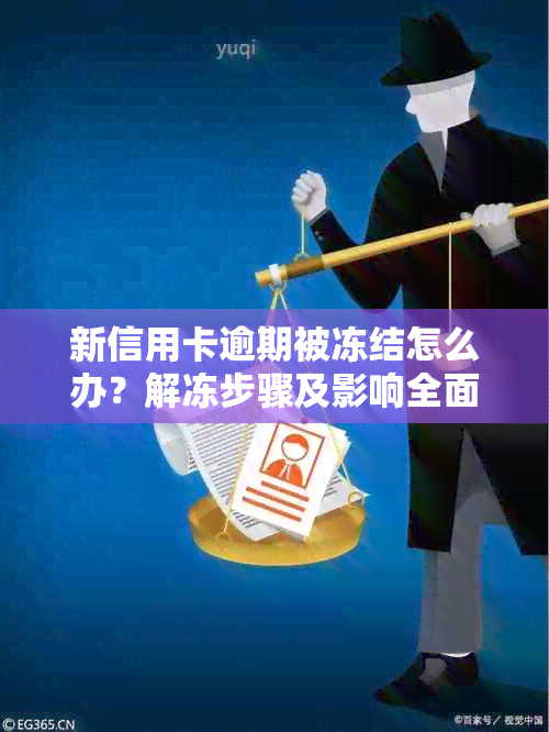 新信用卡逾期被冻结怎么办？解冻步骤及影响全面解析