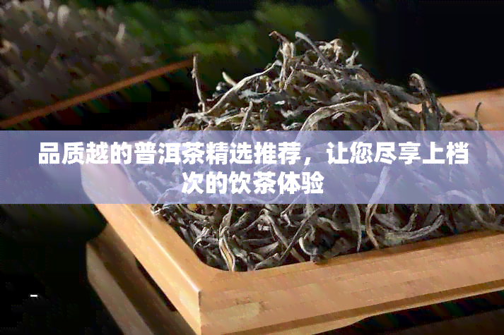 品质越的普洱茶精选推荐，让您尽享上档次的饮茶体验