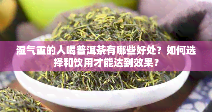 湿气重的人喝普洱茶有哪些好处？如何选择和饮用才能达到效果？