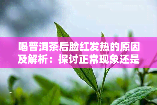 喝普洱茶后脸红发热的原因及解析：探讨正常现象还是健隐患