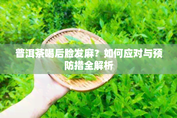 普洱茶喝后脸发麻？如何应对与预防措全解析