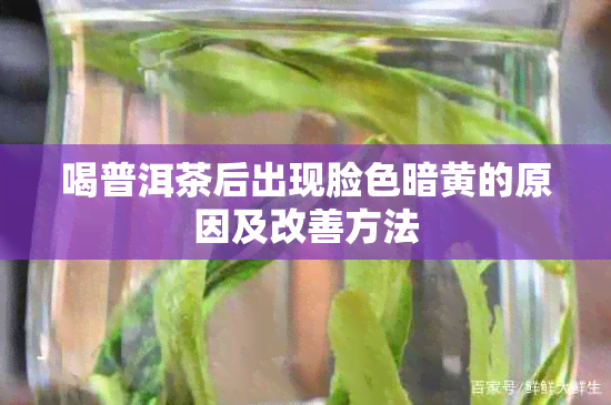 喝普洱茶后出现脸色暗黄的原因及改善方法