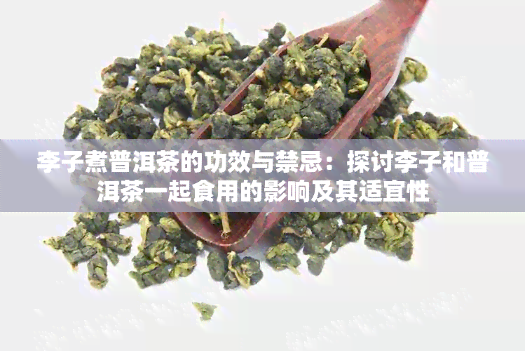 李子煮普洱茶的功效与禁忌：探讨李子和普洱茶一起食用的影响及其适宜性