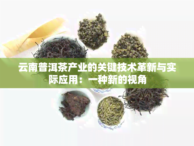 云南普洱茶产业的关键技术革新与实际应用：一种新的视角