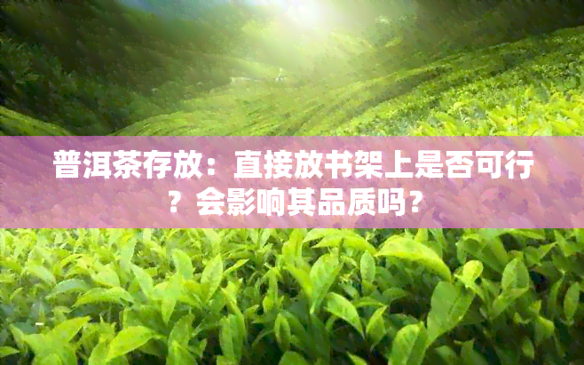 普洱茶存放：直接放书架上是否可行？会影响其品质吗？