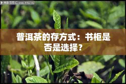 普洱茶的存方式：书柜是否是选择？