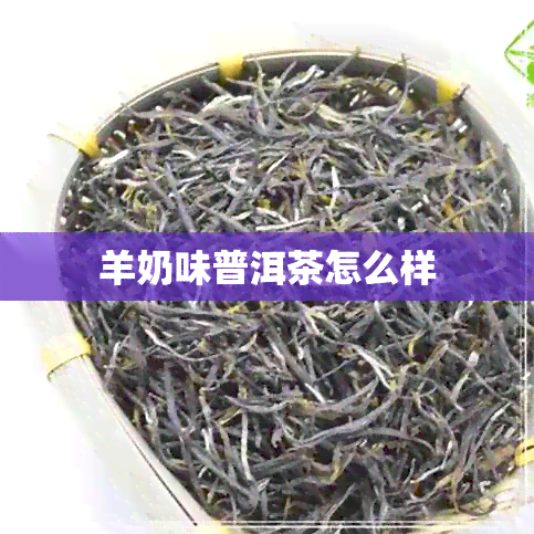 羊奶味普洱茶怎么样