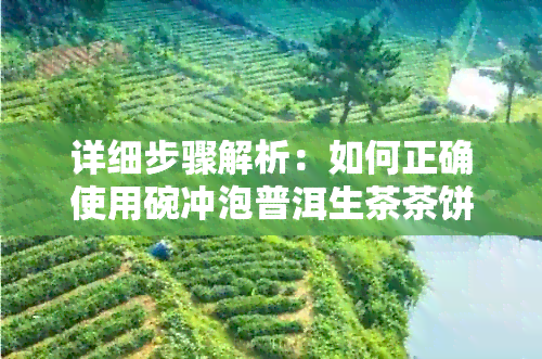 详细步骤解析：如何正确使用碗冲泡普洱生茶茶饼