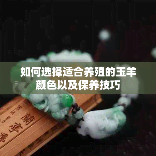 如何选择适合养殖的玉羊颜色以及保养技巧