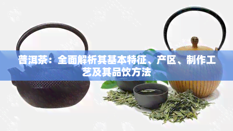 普洱茶：全面解析其基本特征、产区、制作工艺及其品饮方法