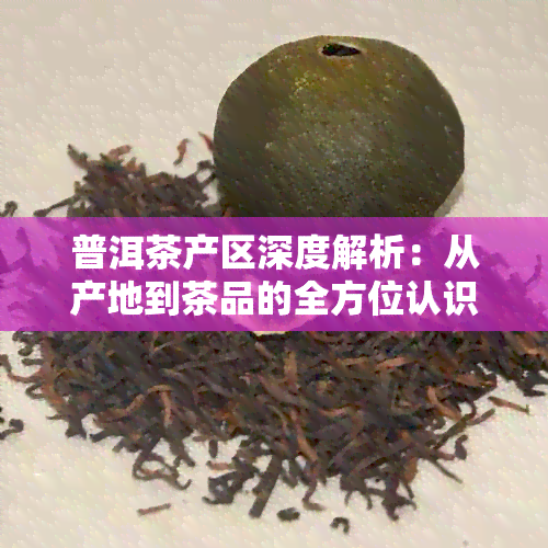 普洱茶产区深度解析：从产地到茶品的全方位认识