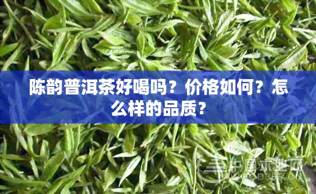 陈韵普洱茶好喝吗？价格如何？怎么样的品质？