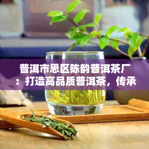 普洱市思区陈韵普洱茶厂：打造高品质普洱茶，传承百年工艺与文化