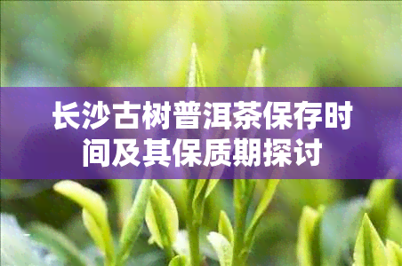 长沙古树普洱茶保存时间及其保质期探讨