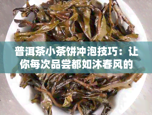 普洱茶小茶饼冲泡技巧：让你每次品尝都如沐春风的正确方法