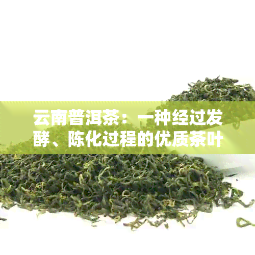 云南普洱茶：一种经过发酵、陈化过程的优质茶叶特征与口感体验