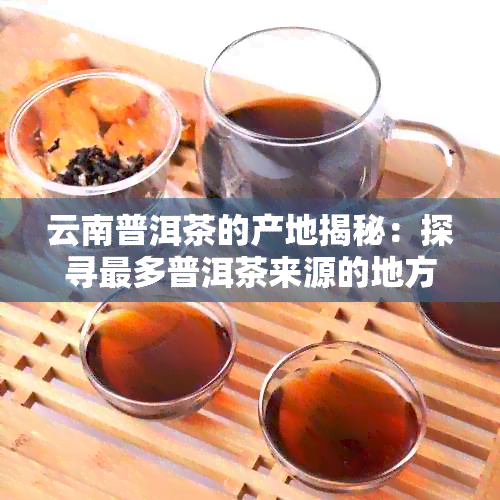 云南普洱茶的产地揭秘：探寻最多普洱茶来源的地方