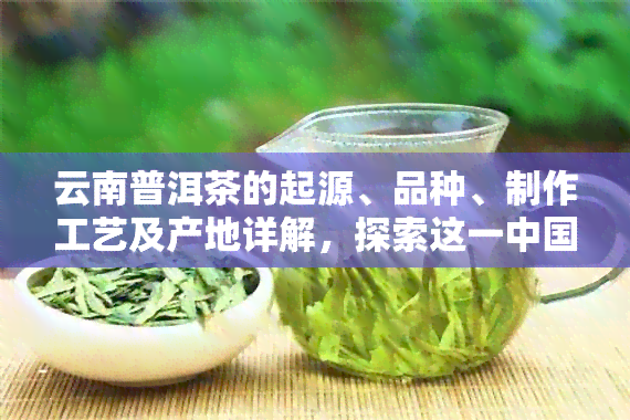 云南普洱茶的起源、品种、制作工艺及产地详解，探索这一中国茶叶的奥秘