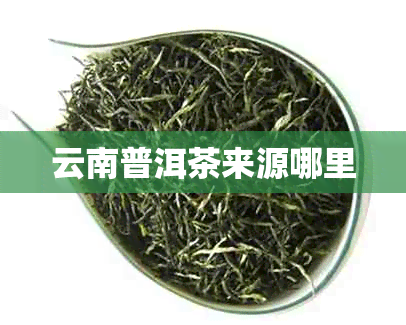 云南普洱茶来源哪里