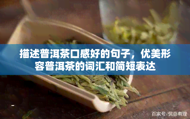 描述普洱茶口感好的句子，优美形容普洱茶的词汇和简短表达