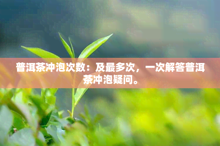 普洱茶冲泡次数：及最多次，一次解答普洱茶冲泡疑问。